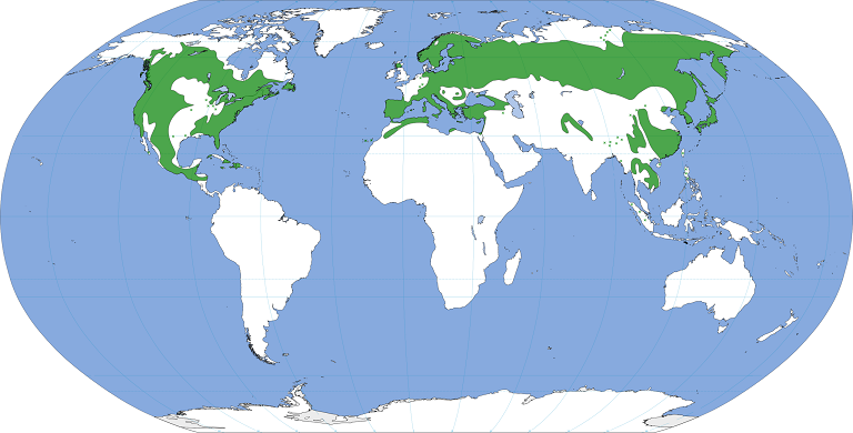 Aire naturelle du genre PINUS sur la Terre