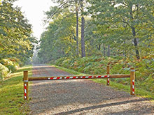 Barrière-allée-forestière-en-pin-traité-autoclave---Photo-PIVETEAU-BOIS