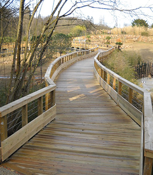 BEAUVAL-1-passerelle-en-pin-imprégné