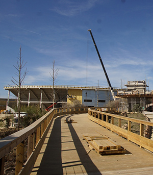 BEAUVAL-3-construction-passerelle-en-pin-classe-4