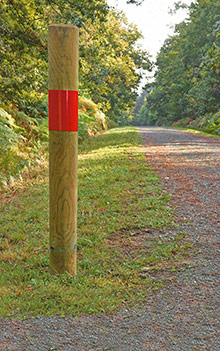 Borne-intersection-en-forêt-en-pin-traité-autoclave---Photo-PIVETEAU-BOIS