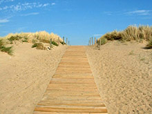 Chemin-de-dune-en-pin-traité-autoclave---Crédit-Photo-CHARRIER