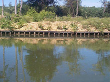 Défenses-de-berges-en-pin-autoclave----Photo-PIVETEAU-BOIS