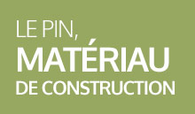 galerie_ensavoirplus_pin_materiau_construction