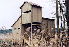 Observatoire-forestier-en-pin-traité-autoclave---Photo-GAILLARD-RONDINO