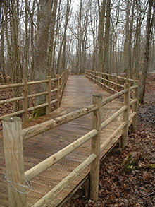 Passerelle-forestière-pin-traité-autoclave-classe-4---Photo-GAILLARD-RONDINO