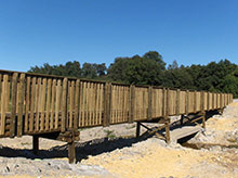 Passerelle-pin-traité-autoclave-classe-4---Photo-GAILLARD-RONDINO