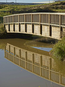 Passerelle-pin-traité-autoclave-classe-4---Photo-PIVETEAU-BOIS-2