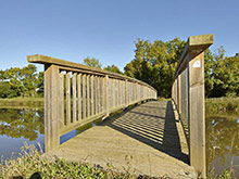 Passerelle-pin-traité-autoclave-classe-4---Photo-PIVETEAU-BOIS