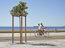 Piquets-tuteurs-pour-jeunes-arbres---Photo-PIVETEAU-BOIS