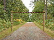 Portique-allée-forestière-en-pin-traité-autoclave---Photo-PIVETEAU-BOIS