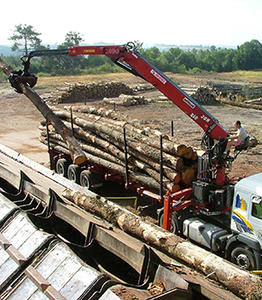 Déchargement-de-grumes-de-pin---Scierie-JOSSO